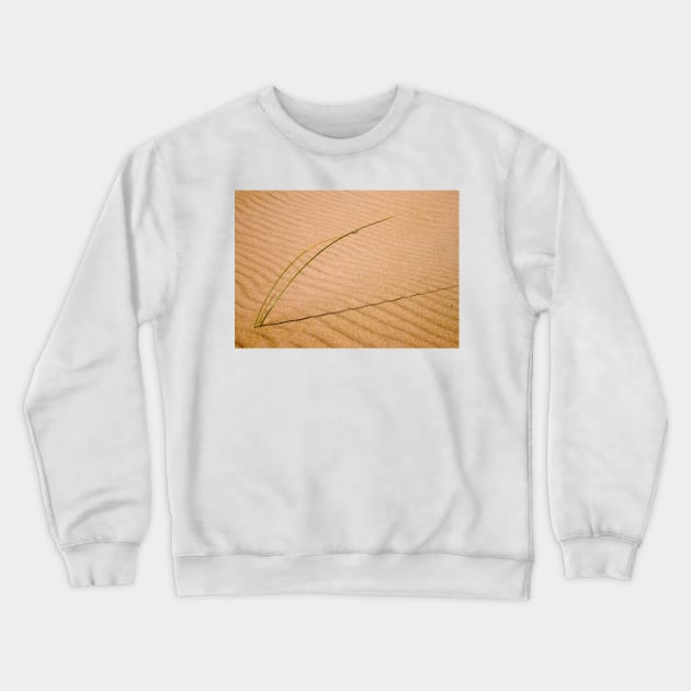 Beach Grass Crewneck Sweatshirt by richard49